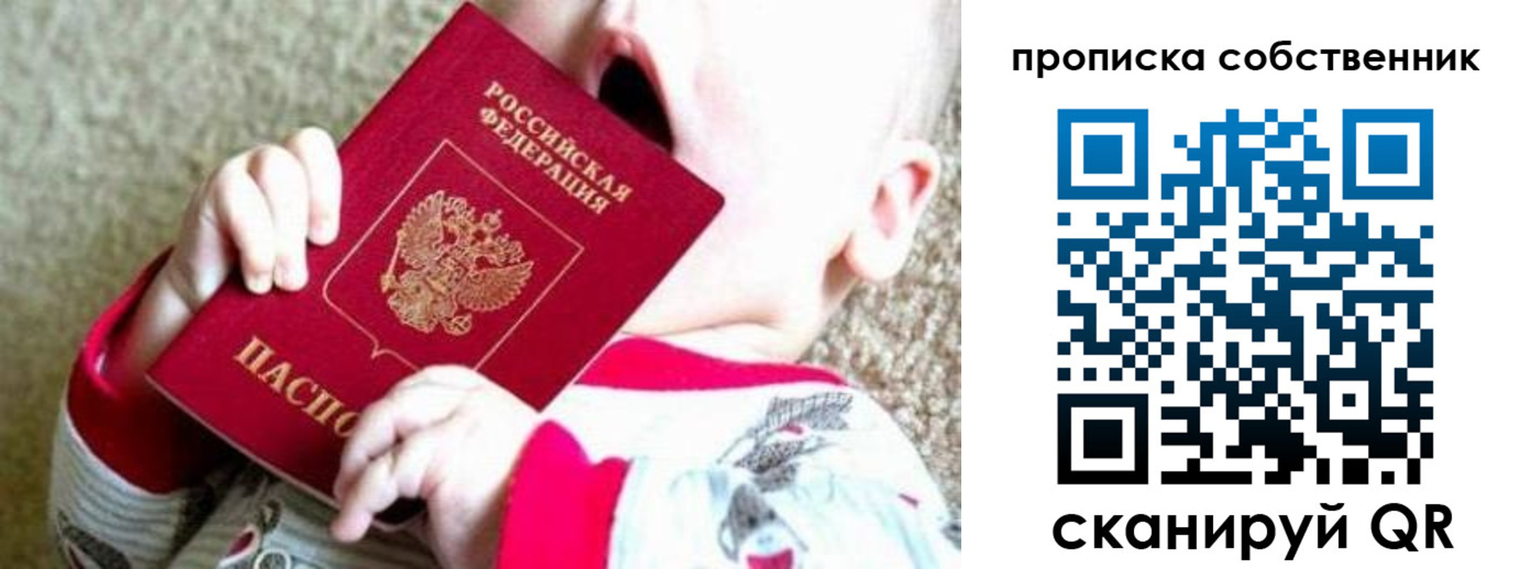 прописка для школы в Михайловке