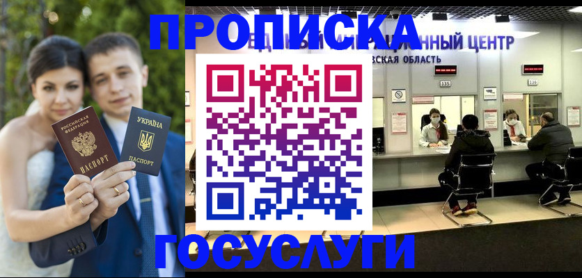 прописка штамп в Михайловке